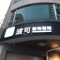 波可動物醫院