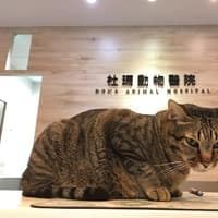 杜瑪動物醫院