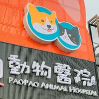 預約制-泡泡癌症動物醫院-癌症治療中心