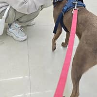 底佳動物醫院