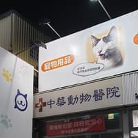 頭份中華動物醫院