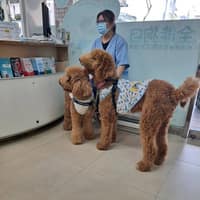 台安動物醫院