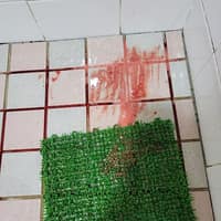 民生動物醫院