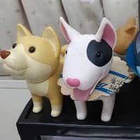 湯姆貓動物醫院