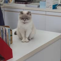 米懷谷動物醫院
