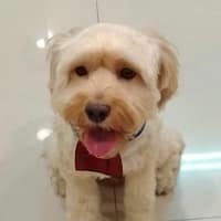 家禾動物醫院