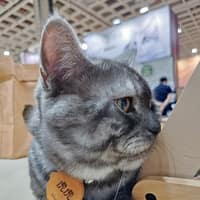 日祥動物醫院