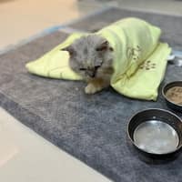 立奇動物醫院