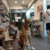 信安動物醫院