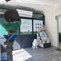 大森林動物醫院