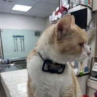 眾新動物醫院