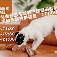 中日動物醫院