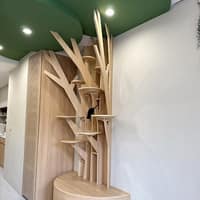 青林動物醫院