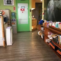 Miao Cat Hospital