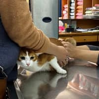 啟仁動物醫院