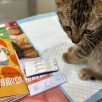 東大動物醫院