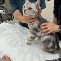 毛大夫動物診所
