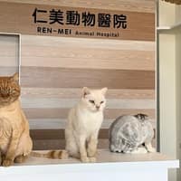 仁美動物醫院