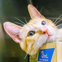 恆安動物醫院