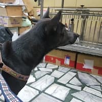 德興動物醫院