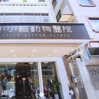 小小貓動物醫院