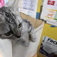 元沅動物醫院