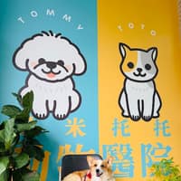 湯米托托動物醫院