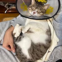 健生動物醫院