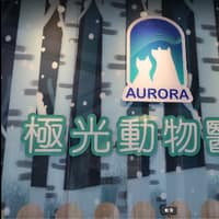 Aurora Animal Hospital