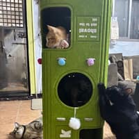 振生動物醫院