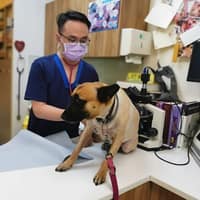 依努動物醫院