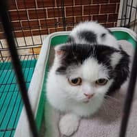 樂仁動物醫院