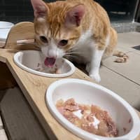 關心動物醫院