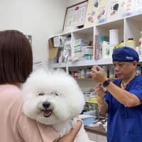 弘隼動物醫院