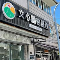 文心動物醫院