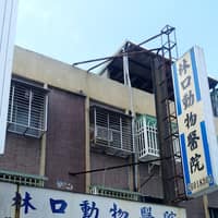 林口動物醫院