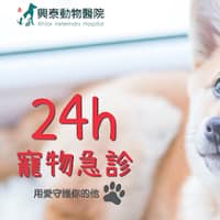 興泰動物醫院