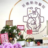 祈癒動物醫院