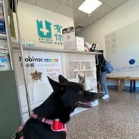 有你動物醫院