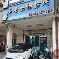 毛毛動物診所