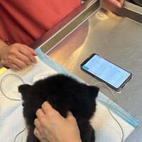 祥霖動物醫院