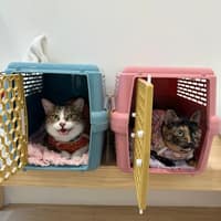 樂毛動物醫院