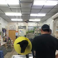 聯合動物醫院