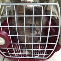 和欣動物醫院