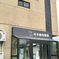 谷米動物醫院