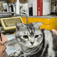 永安動物醫院