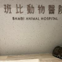班比動物醫院
