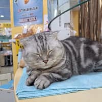 建國動物診所