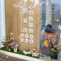 伴心特殊寵物專科醫院
