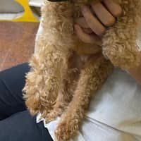 超群動物醫院